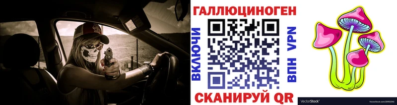 Галлюциногенные грибы GOLDEN TEACHER  Купить где  Короча 
